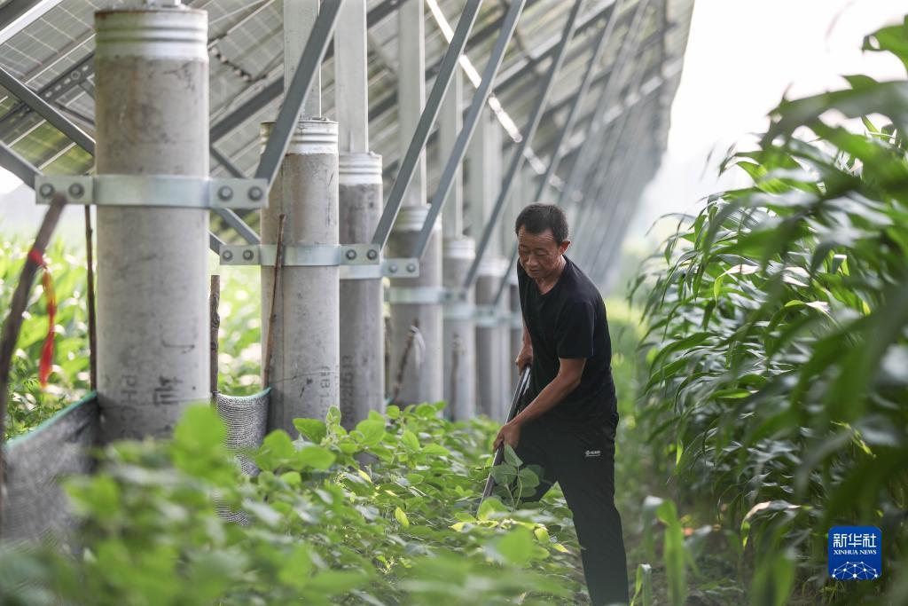 水果机必赢压法