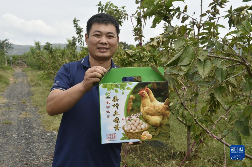 捕鱼达人单机电脑版全免费